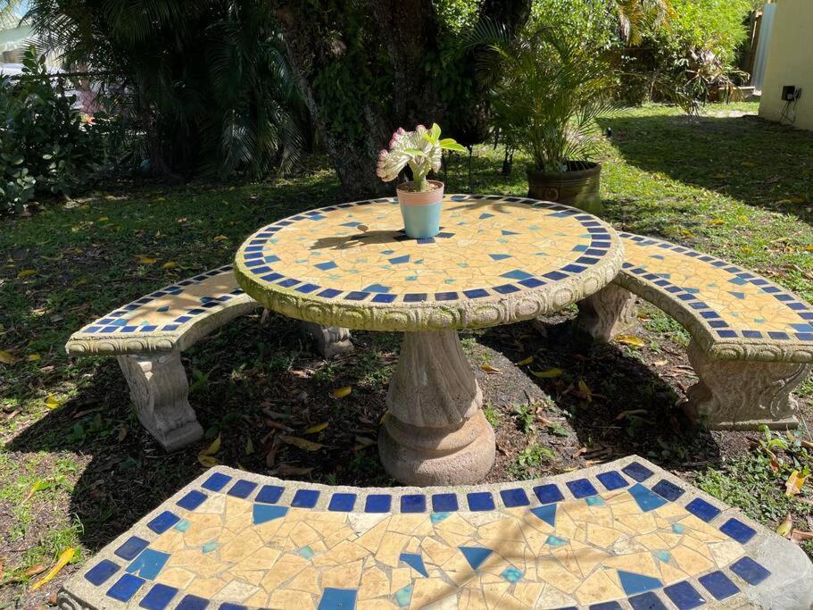Jungle To Beach 4 R 3 Bedroom Family And Pet Heated Pool N Airport N Beach N Hard Rock Fort Lauderdale Extérieur photo