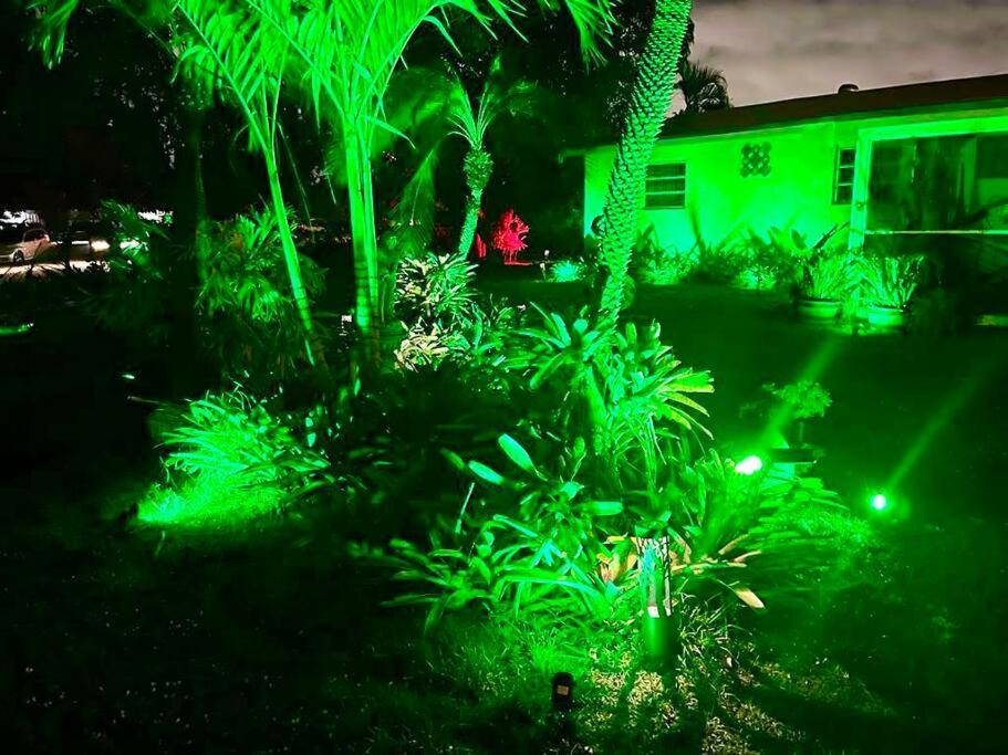 Jungle To Beach 4 R 3 Bedroom Family And Pet Heated Pool N Airport N Beach N Hard Rock Fort Lauderdale Extérieur photo