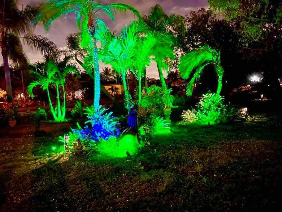 Jungle To Beach 4 R 3 Bedroom Family And Pet Heated Pool N Airport N Beach N Hard Rock Fort Lauderdale Extérieur photo
